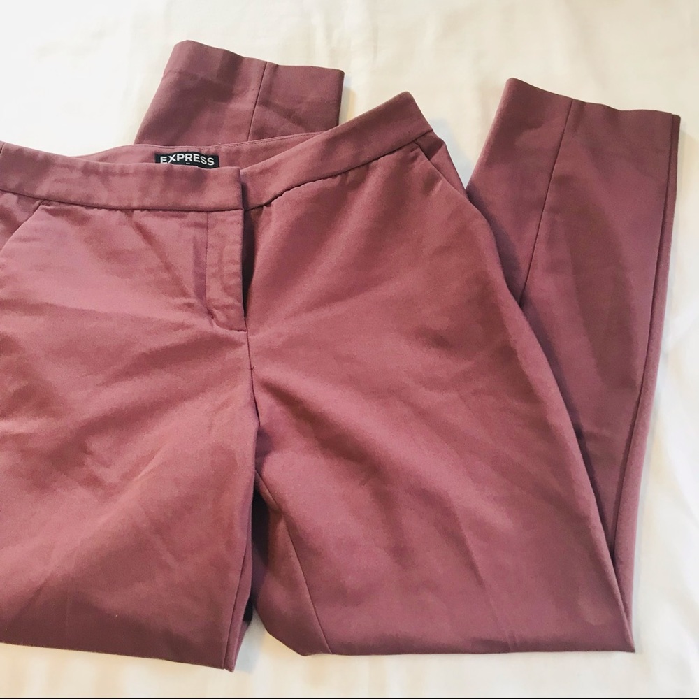 Express Columnist Cropped Pants